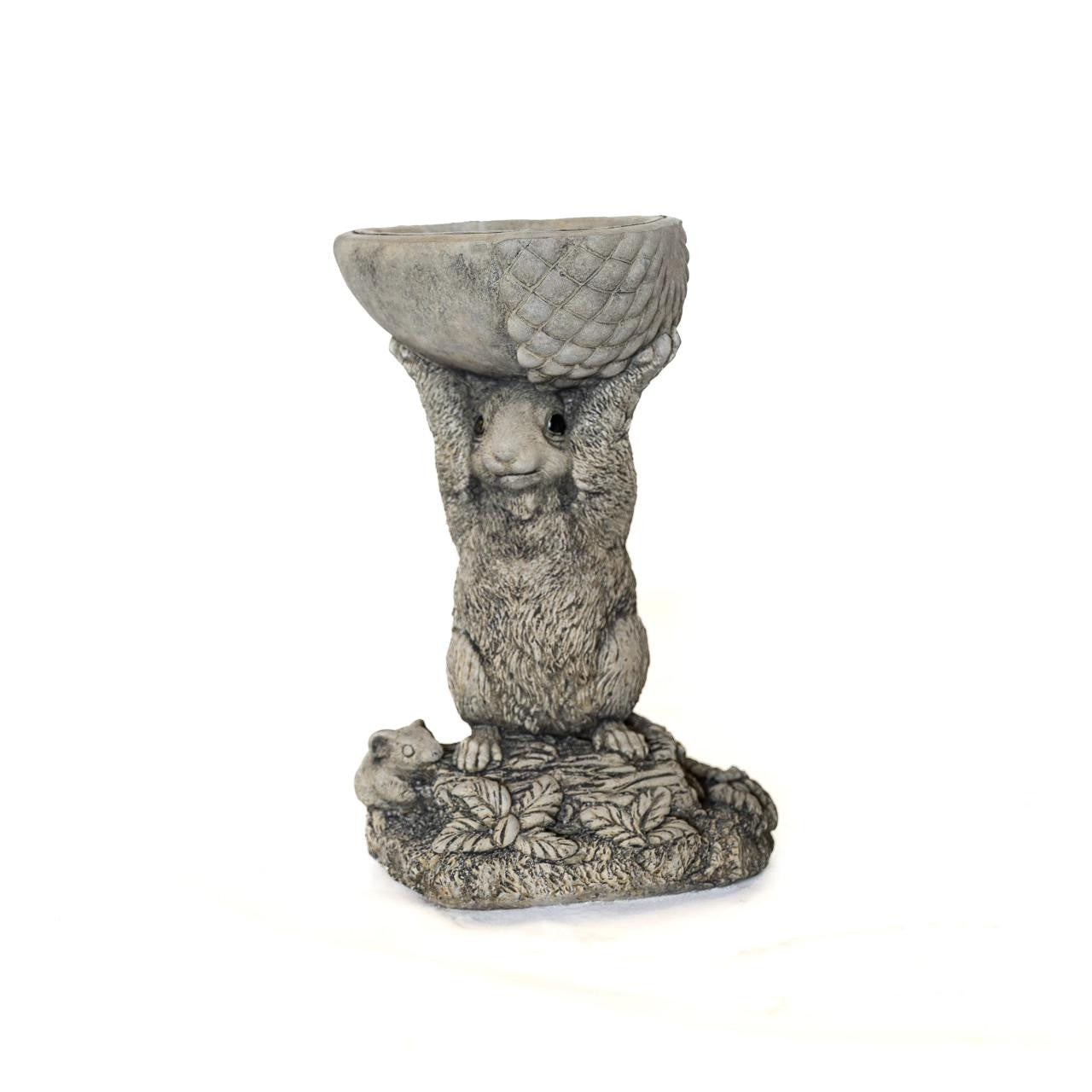 Small Adorable Squirrel And Nut Design Stonecast Bird Bath