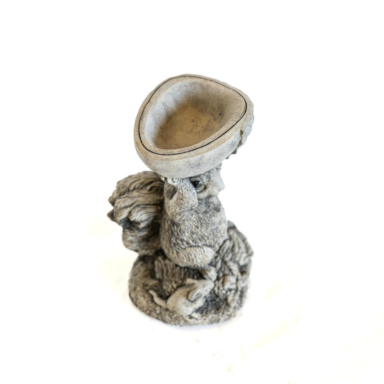 Small Adorable Squirrel And Nut Design Stonecast Bird Bath
