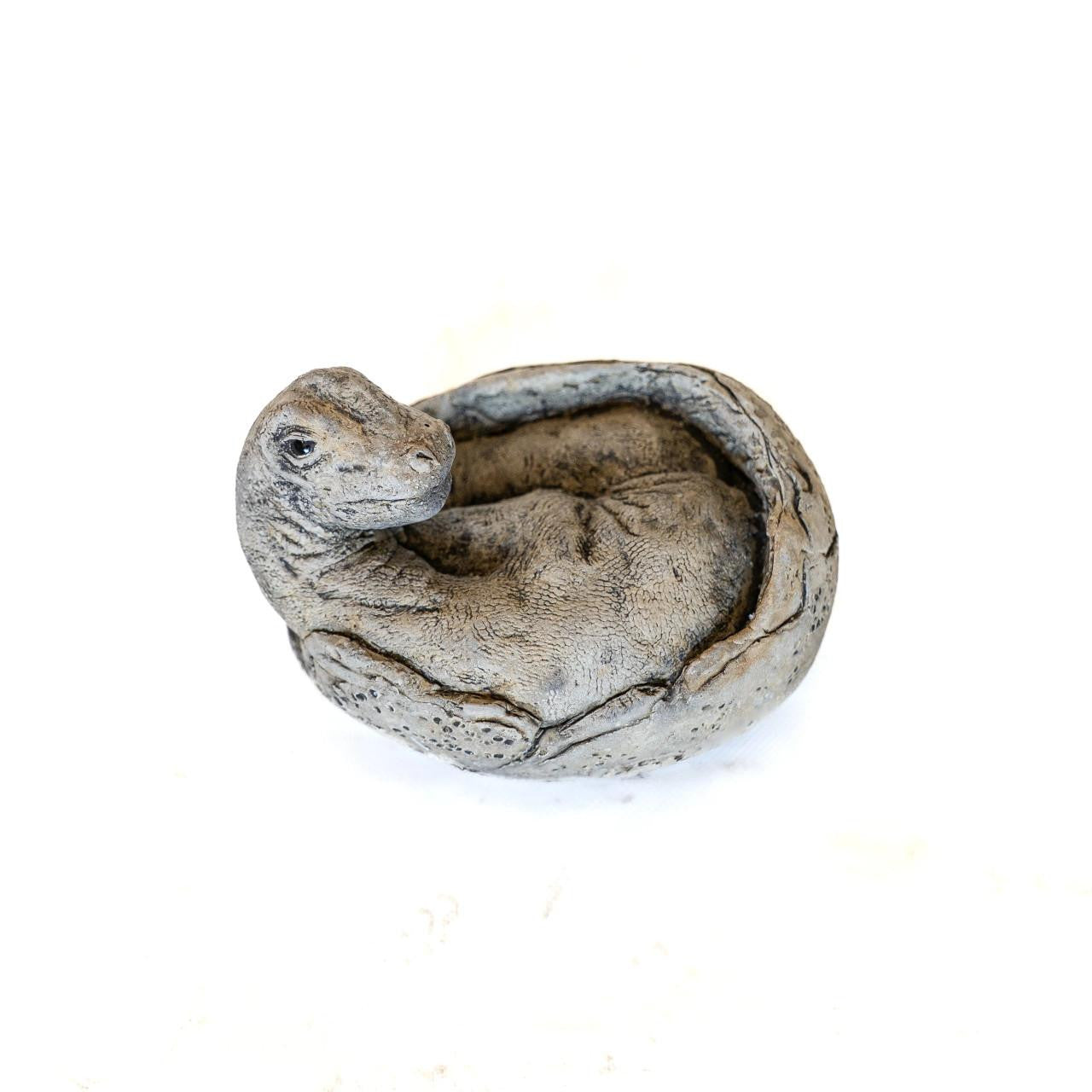 Small Brontosaurus Stone Cast Garden Sculpture Dinosaur Animal Statue