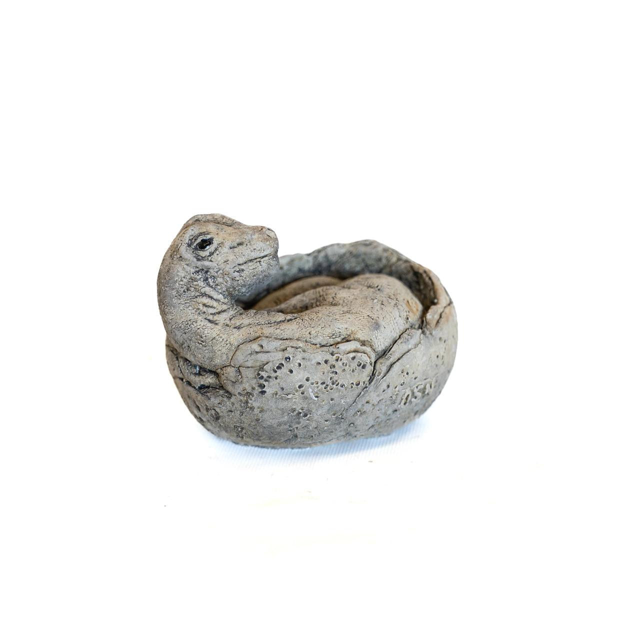 Small Brontosaurus Stone Cast Garden Sculpture Dinosaur Animal Statue