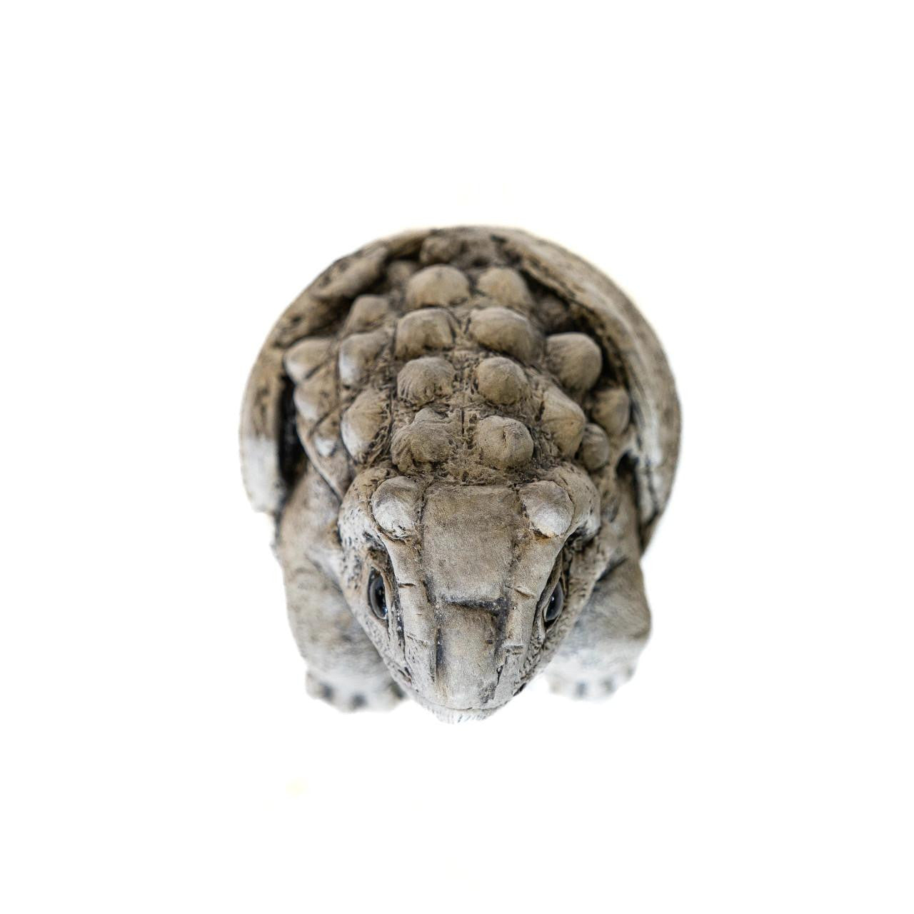 Small Stone Cast Anchisaurus Garden Sculpture  Dinosaur Animal Statue