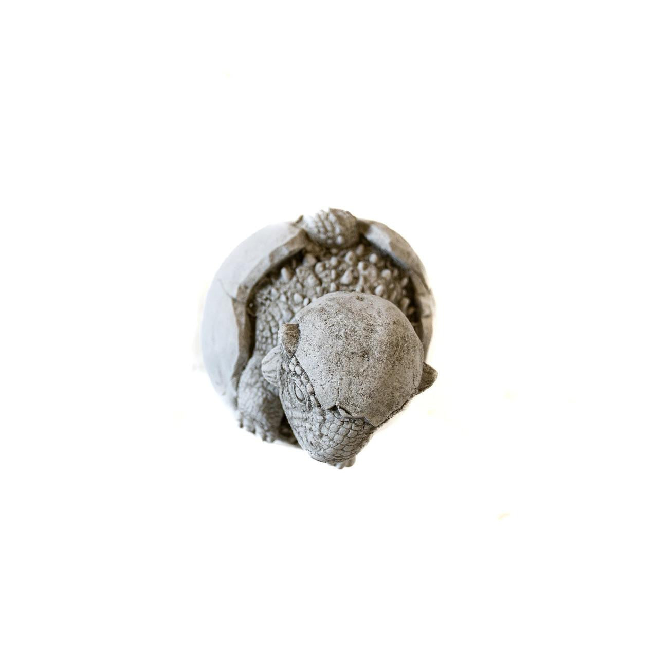 Small Stone Cast  Baby Dino with Eggshell Hat Statue