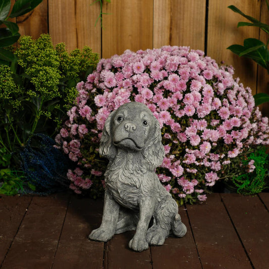 Spaniel Puppy Dog Stone Cast Garden Ornament 