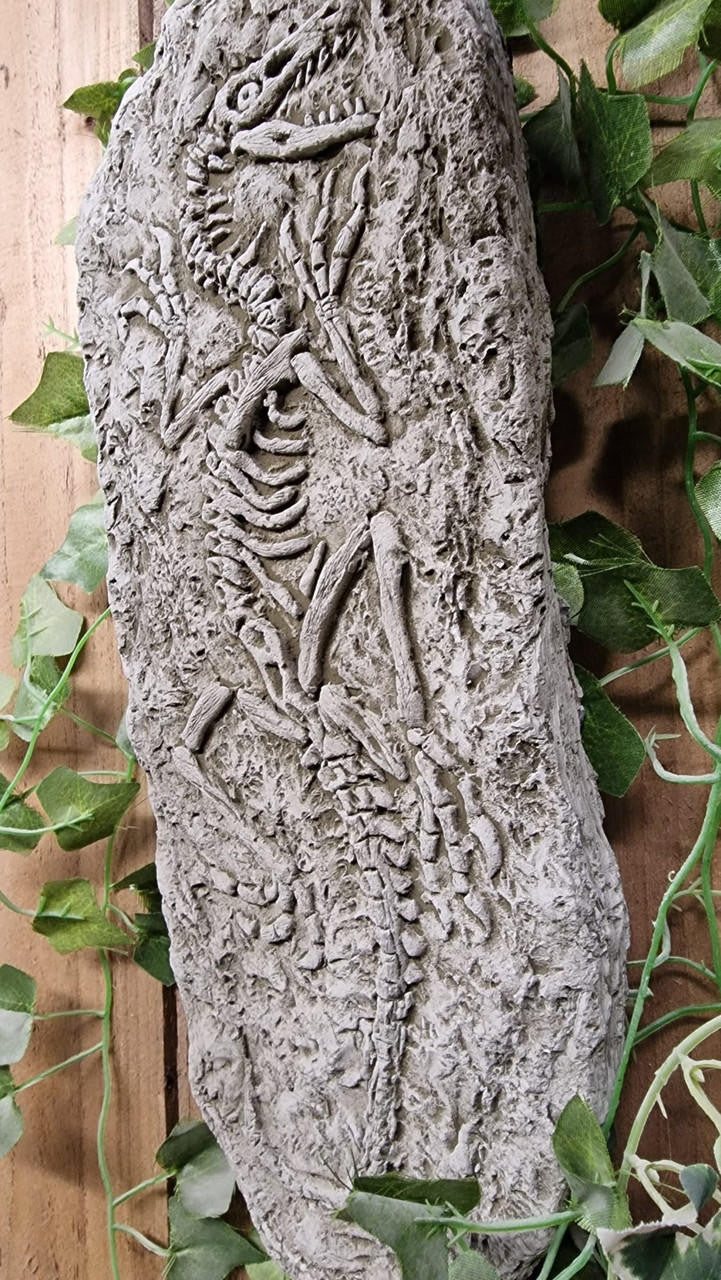 Stone Cast Jurassic Design Wall Plaque