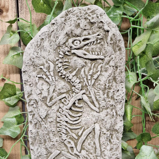 Stone Cast Jurassic Design Wall Plaque