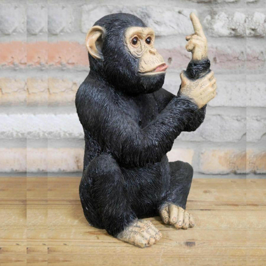 Up Yours Monkey